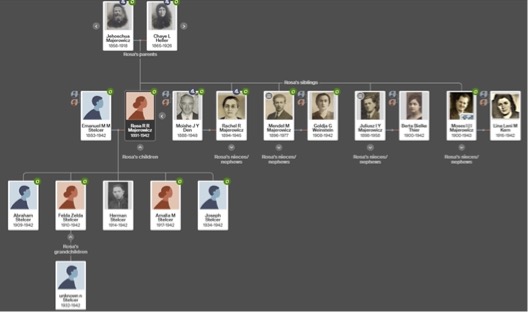 
        Family Tree 